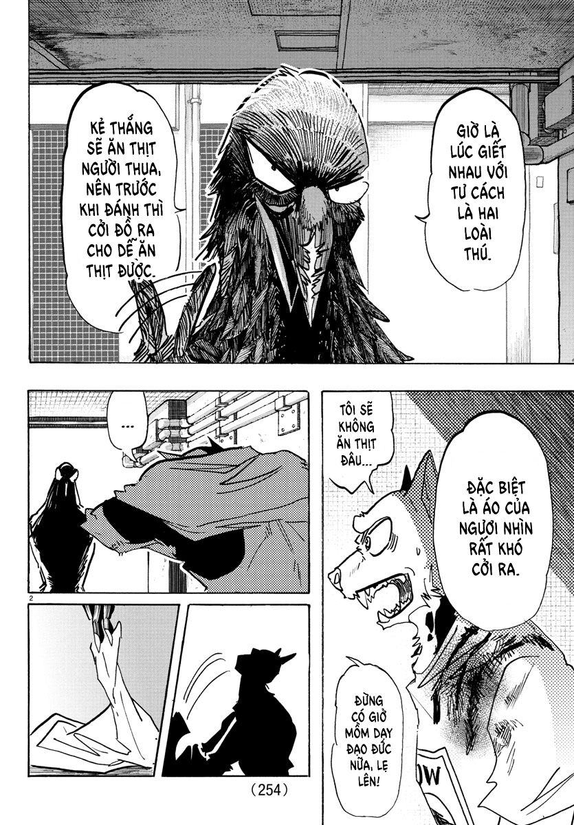 Lý Trí Của Taika Chap 15 - Next Chap 16