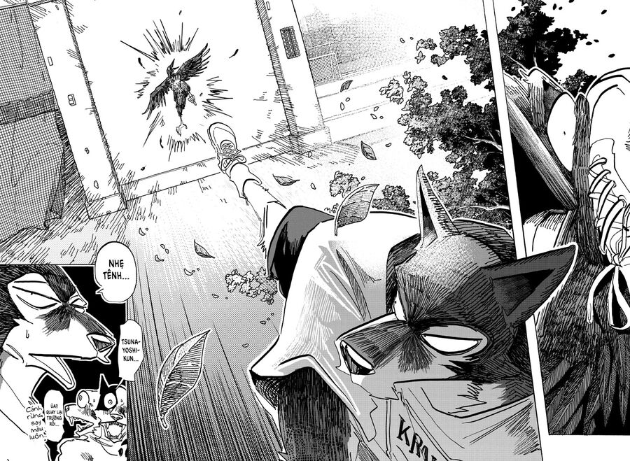 Lý Trí Của Taika Chap 15 - Next Chap 16