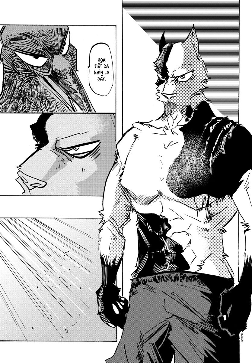 Lý Trí Của Taika Chap 15 - Next Chap 16