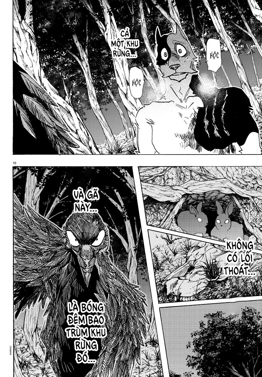 Lý Trí Của Taika Chap 15 - Next Chap 16