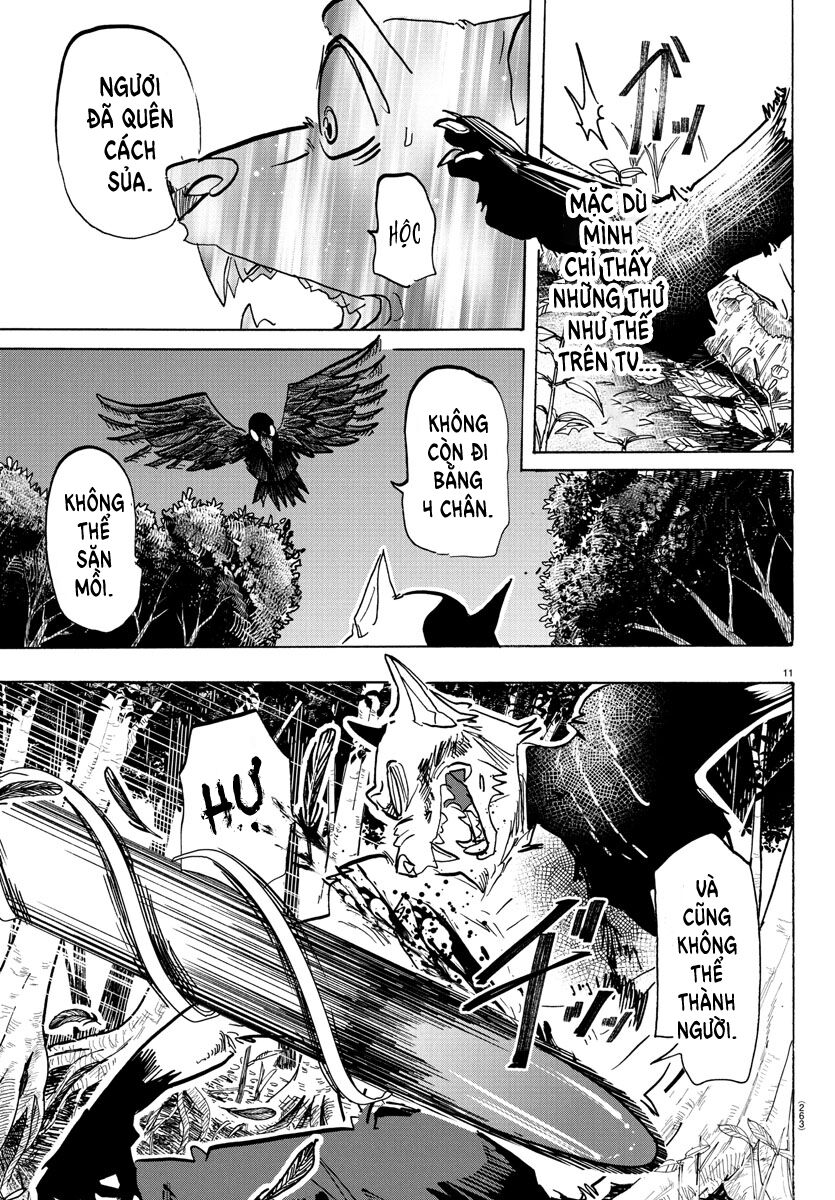 Lý Trí Của Taika Chap 15 - Next Chap 16