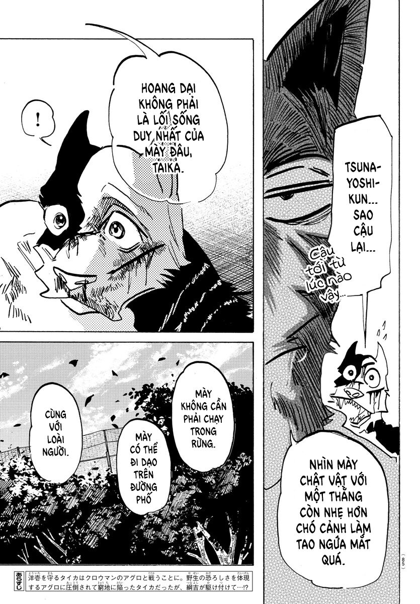 Lý Trí Của Taika Chap 16 - Next Chap 17