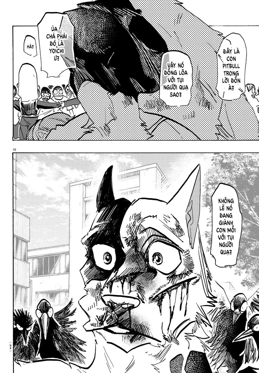 Lý Trí Của Taika Chap 16 - Next Chap 17