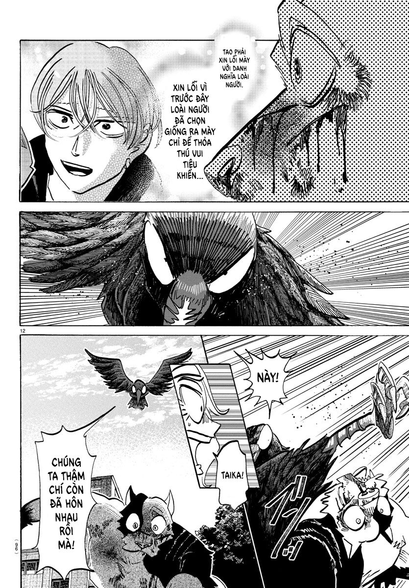 Lý Trí Của Taika Chap 16 - Next Chap 17