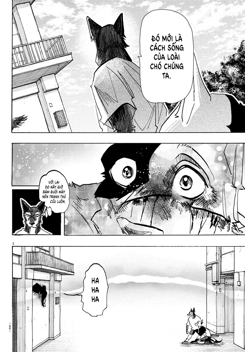 Lý Trí Của Taika Chap 16 - Next Chap 17