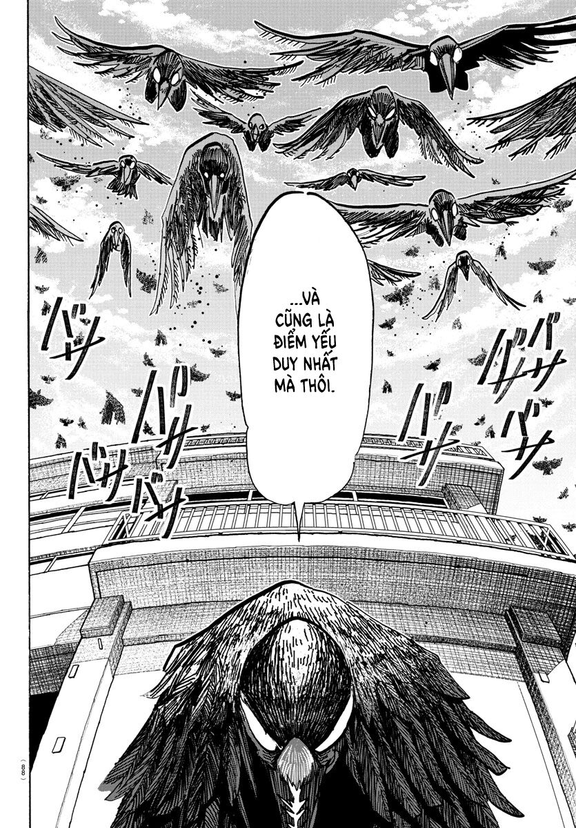Lý Trí Của Taika Chap 16 - Next Chap 17
