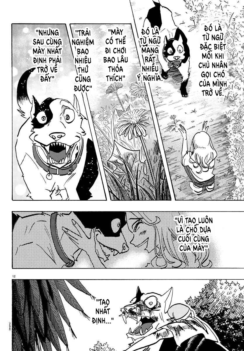 Lý Trí Của Taika Chap 17 - Next Chap 18