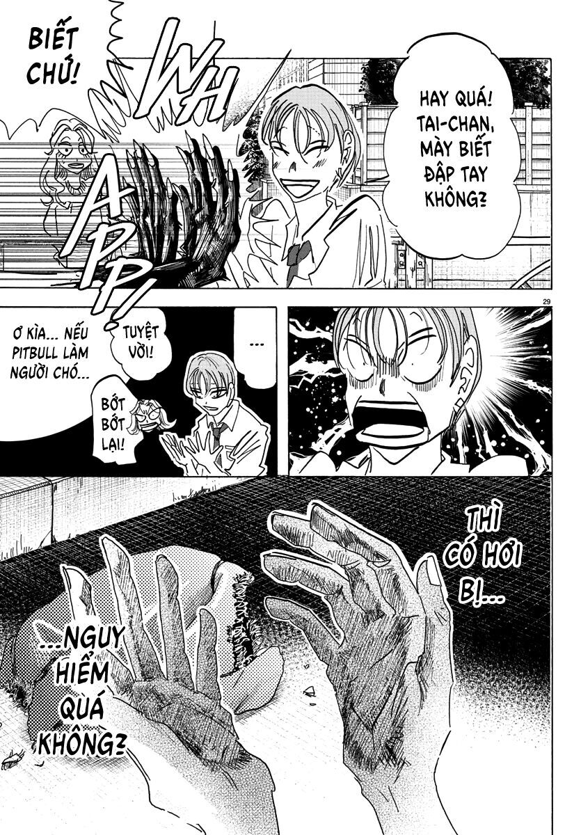Lý Trí Của Taika Chap 2 - Next Chap 3