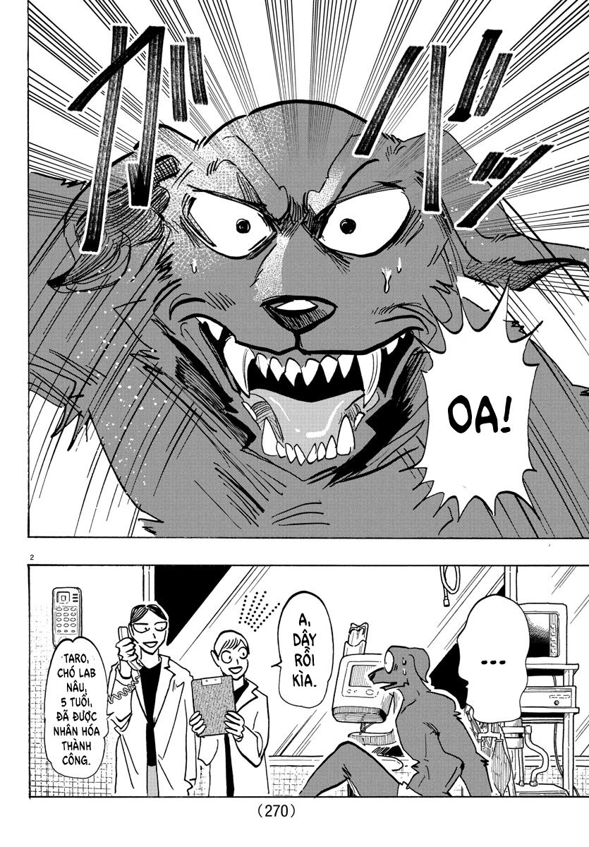 Lý Trí Của Taika Chap 21 - Next Chap 22