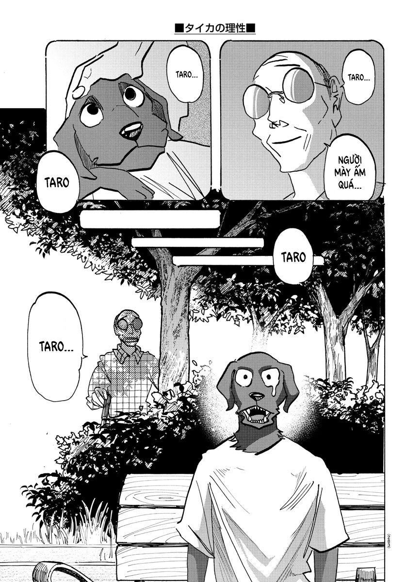 Lý Trí Của Taika Chap 21 - Next Chap 22