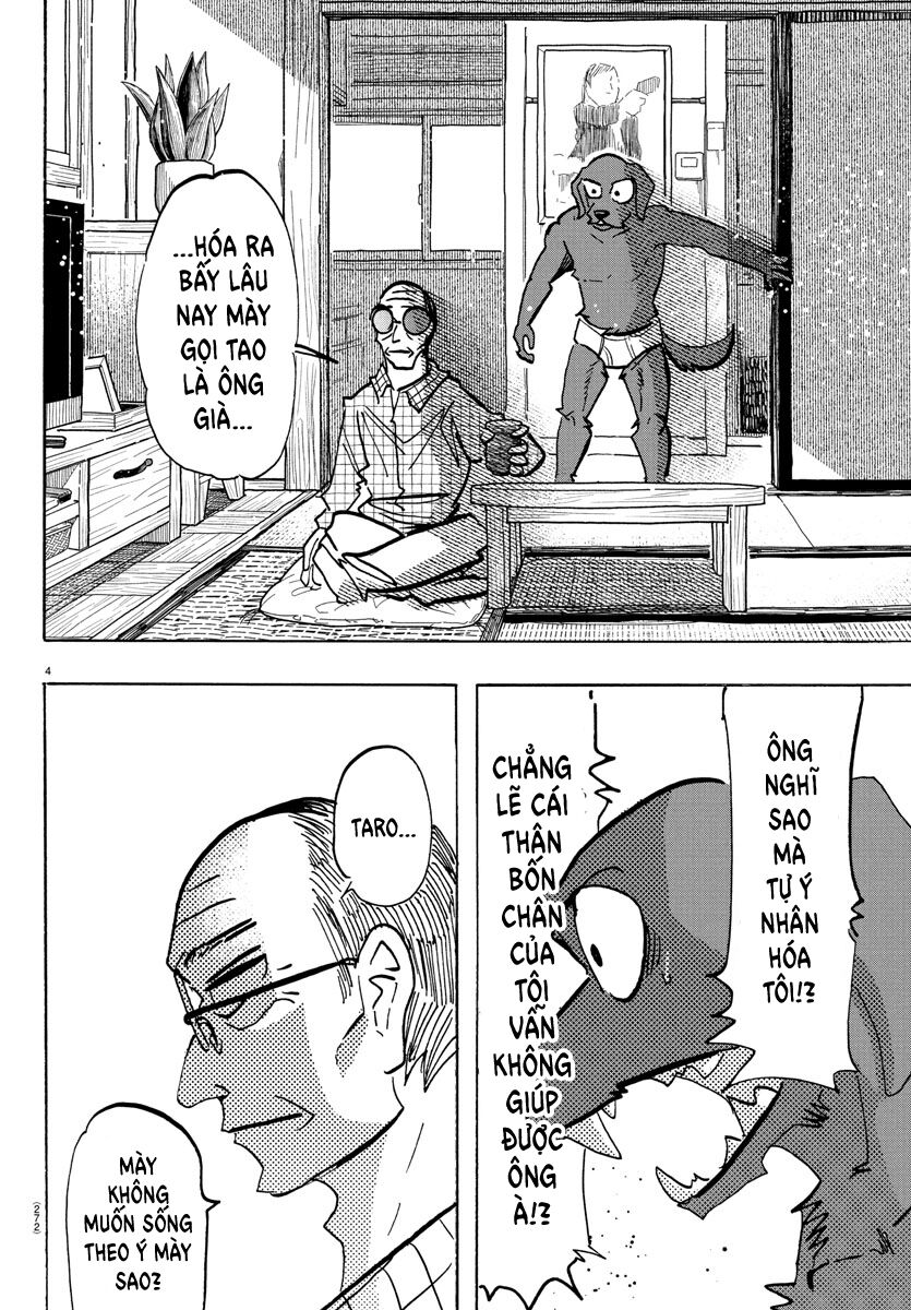 Lý Trí Của Taika Chap 21 - Next Chap 22