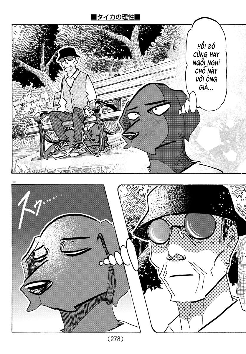 Lý Trí Của Taika Chap 21 - Next Chap 22