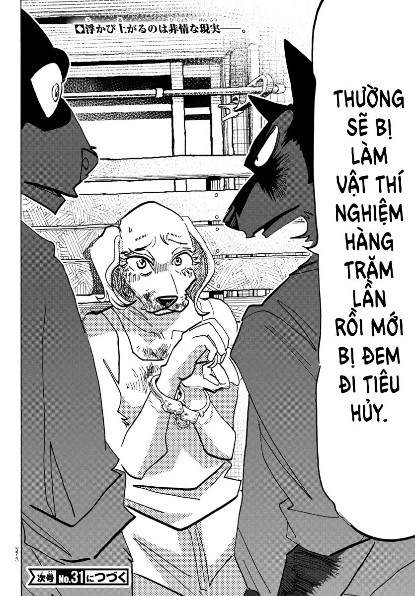 Lý Trí Của Taika Chap 23 - Next Chap 24