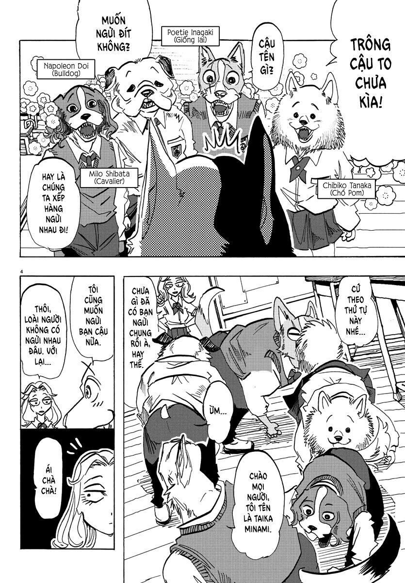 Lý Trí Của Taika Chap 3 - Next Chap 4