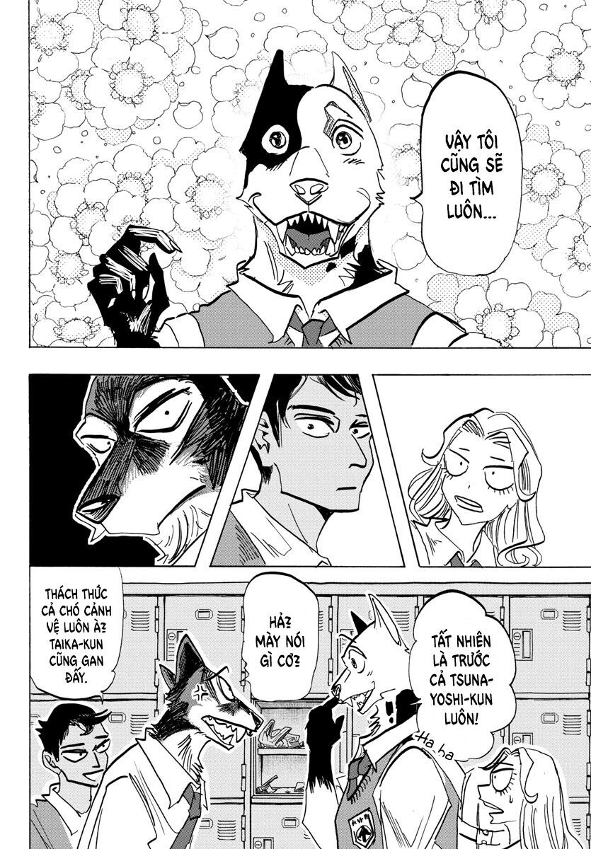 Lý Trí Của Taika Chap 4 - Next Chap 5