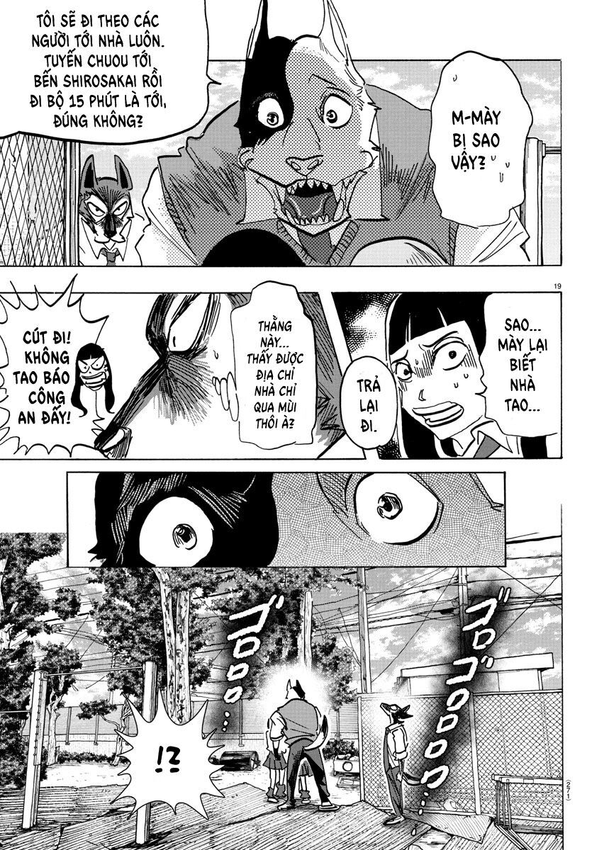 Lý Trí Của Taika Chap 5 - Next Chap 6