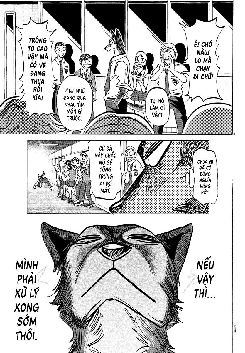 Lý Trí Của Taika Chap 5 - Next Chap 6