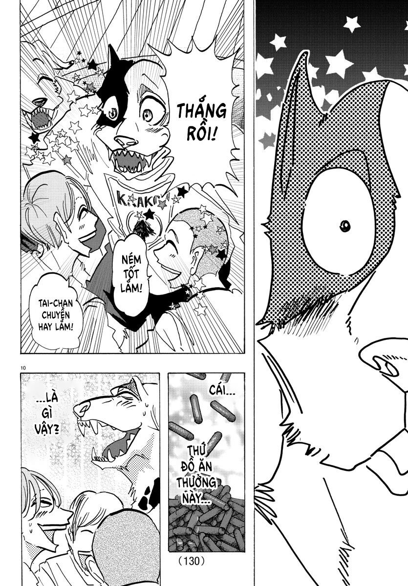 Lý Trí Của Taika Chap 9 - Next Chap 10