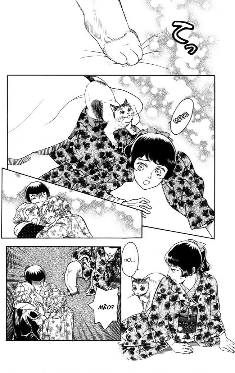 Madame Petit Chap 18 - Next Chap 19