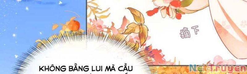 Mãn Cấp Trà Xanh Xuyên Không Thành Tiểu Đáng Thương Chap 3 - Next Chap 4