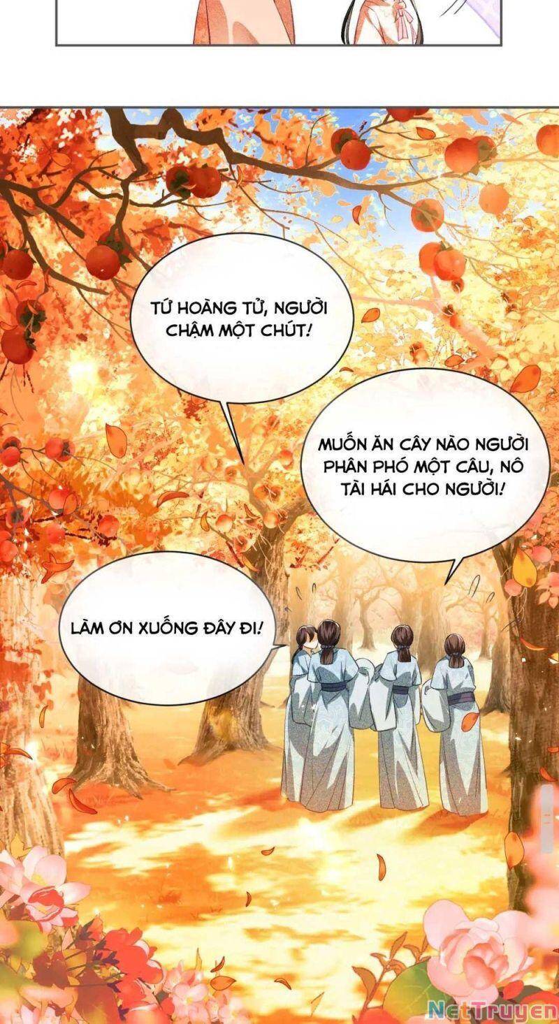 Mãn Cấp Trà Xanh Xuyên Không Thành Tiểu Đáng Thương Chap 3 - Next Chap 4
