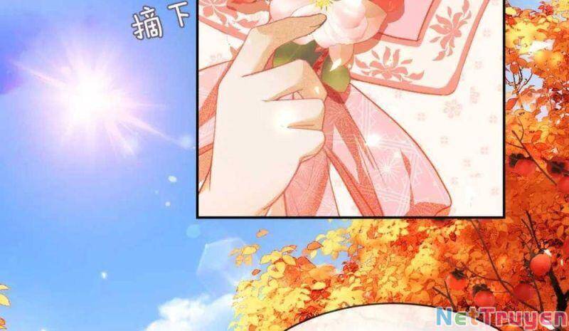 Mãn Cấp Trà Xanh Xuyên Không Thành Tiểu Đáng Thương Chap 3 - Next Chap 4