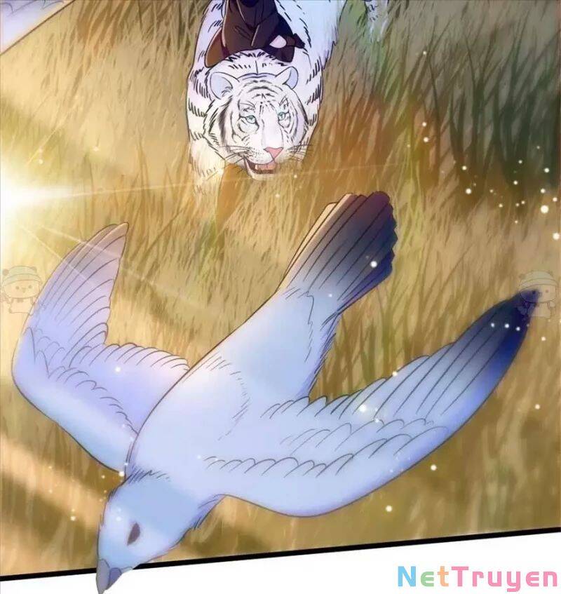 Manh Động Thú Thế Chap 80 - Next Chap 81