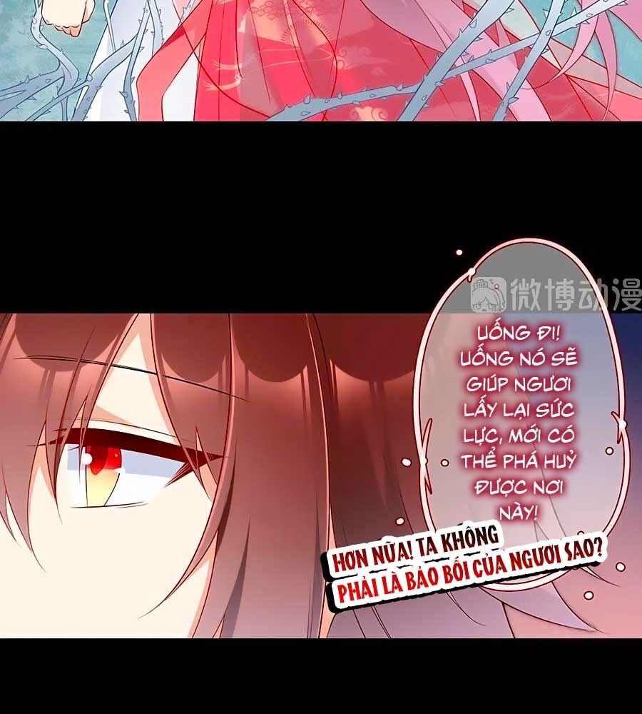 Manh Sư Tại Thượng Chap 216 - Next Chap 217
