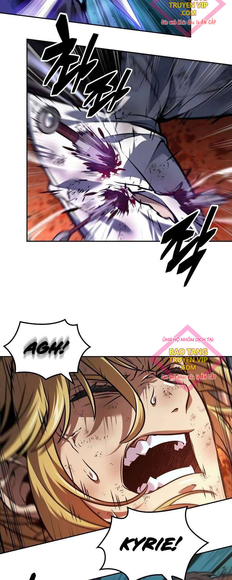 Mạo Hiểm Giả Cuối Cùng Chap 30 - Next Chap 31