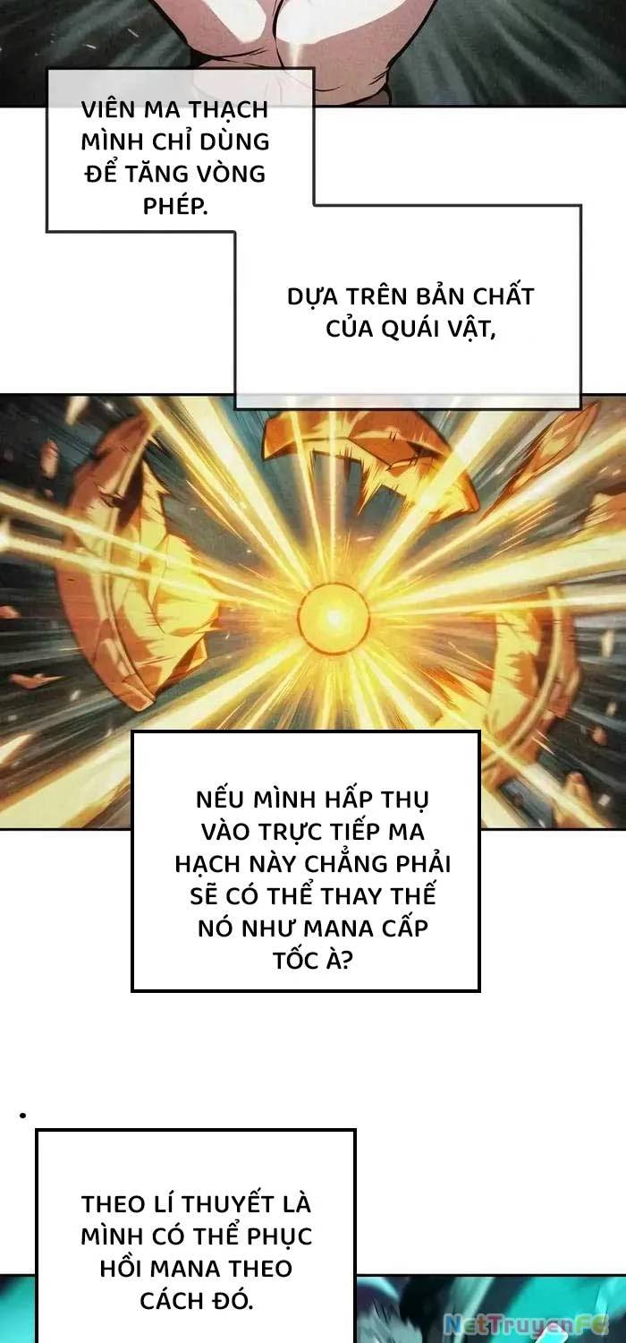 Mạo Hiểm Giả Cuối Cùng Chap 40 - Next Chap 41