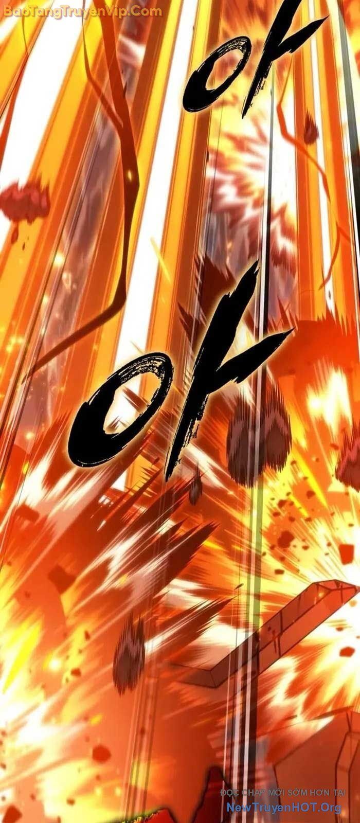 Mạo Hiểm Giả Cuối Cùng Chap 74 - Next Chap 75