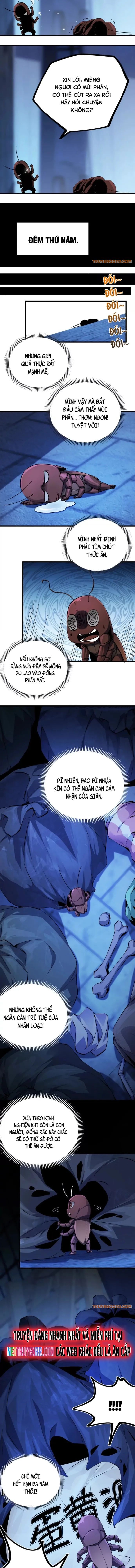Mạt Thế Cẩu Sinh: Gián Giúp Ta Chồng Buff Chap 2 - Next Chap 3