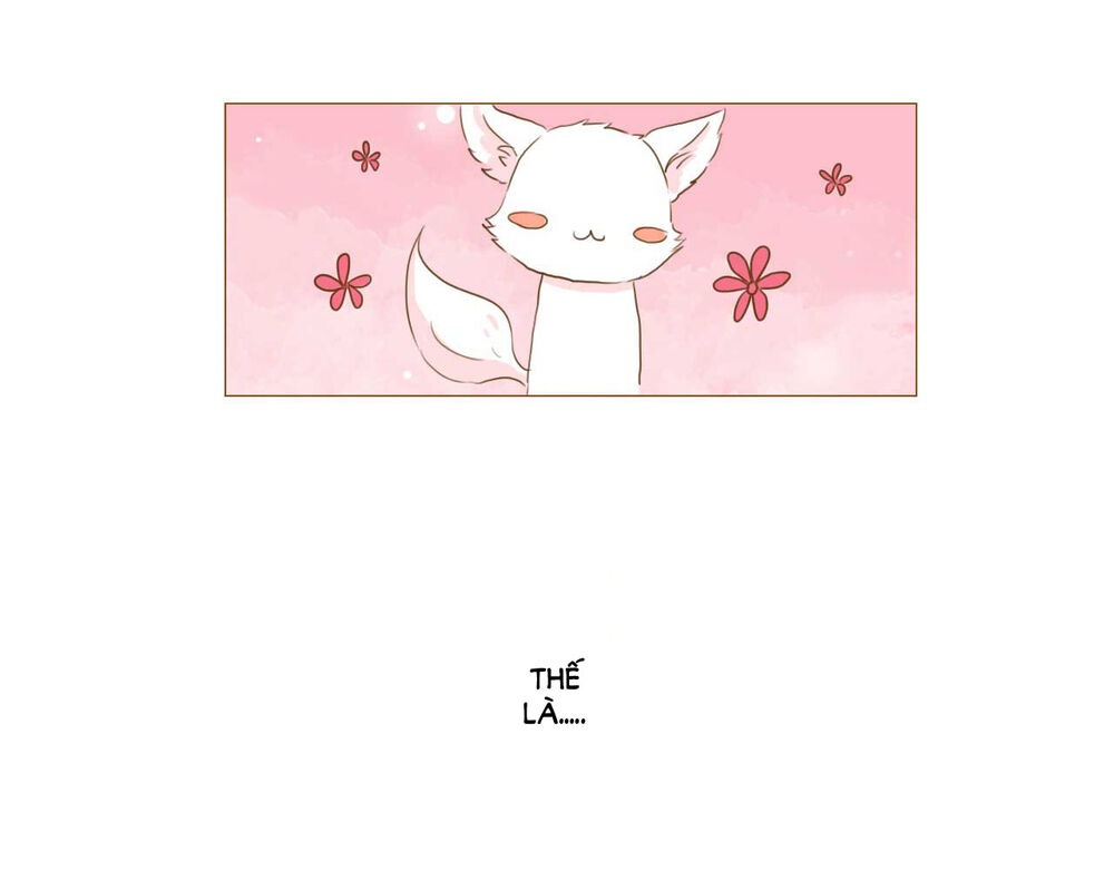 Mẫu Phi Đuôi Của Người Lộ Ra Rồi Kìa Chap 52 - Next Chap 53