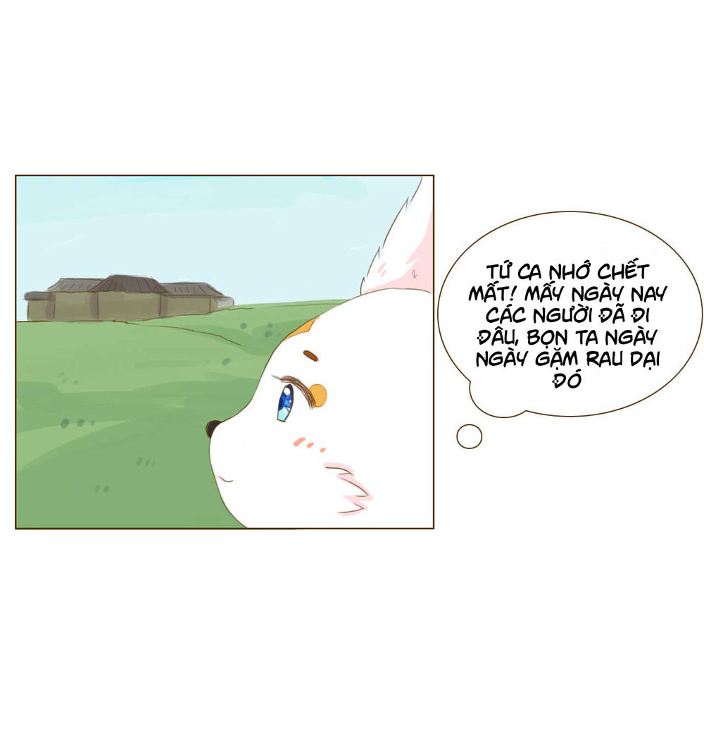 Mẫu Phi Đuôi Của Người Lộ Ra Rồi Kìa Chap 53 - Next Chap 54