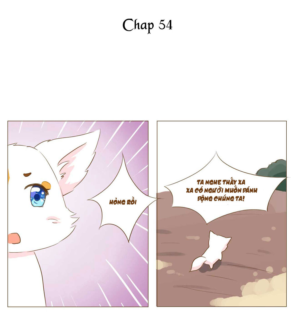 Mẫu Phi Đuôi Của Người Lộ Ra Rồi Kìa Chap 54 - Next Chap 55