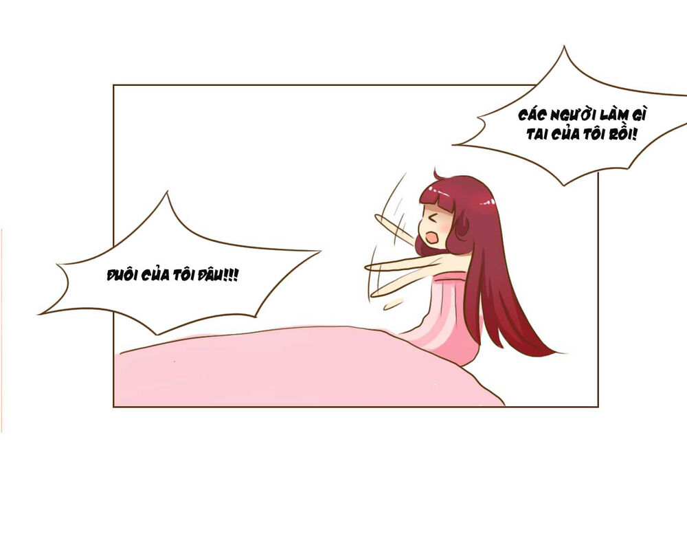 Mẫu Phi Đuôi Của Người Lộ Ra Rồi Kìa Chap 57 - Next Chap 58