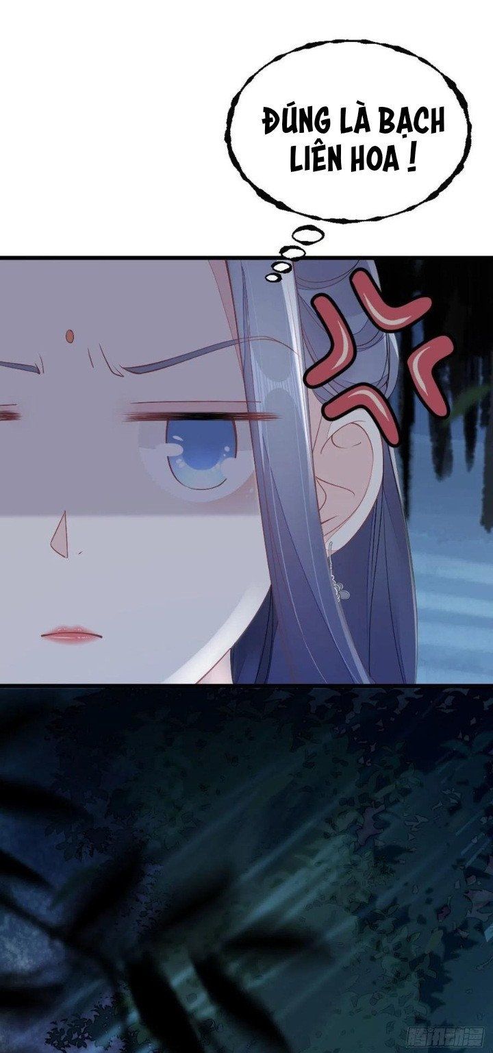 Mau Xuyên Không Rửa Tội Cho Nhân Vật Phản Diện Chap 205 - Next Chap 206