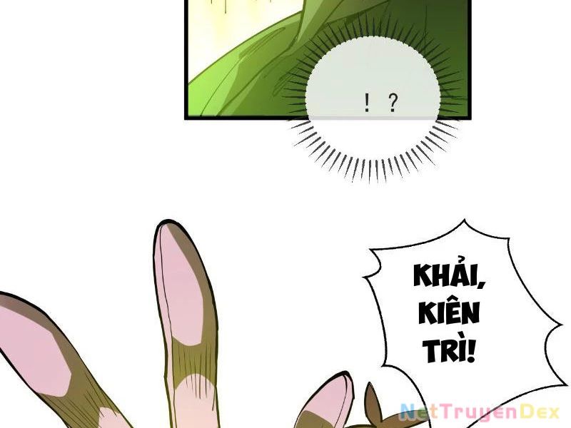 Mệnh Luân Chi Chủ! Khi Dị Biến Giáng Lâm Nhân Gian! Chap 5 - Next Chap 6