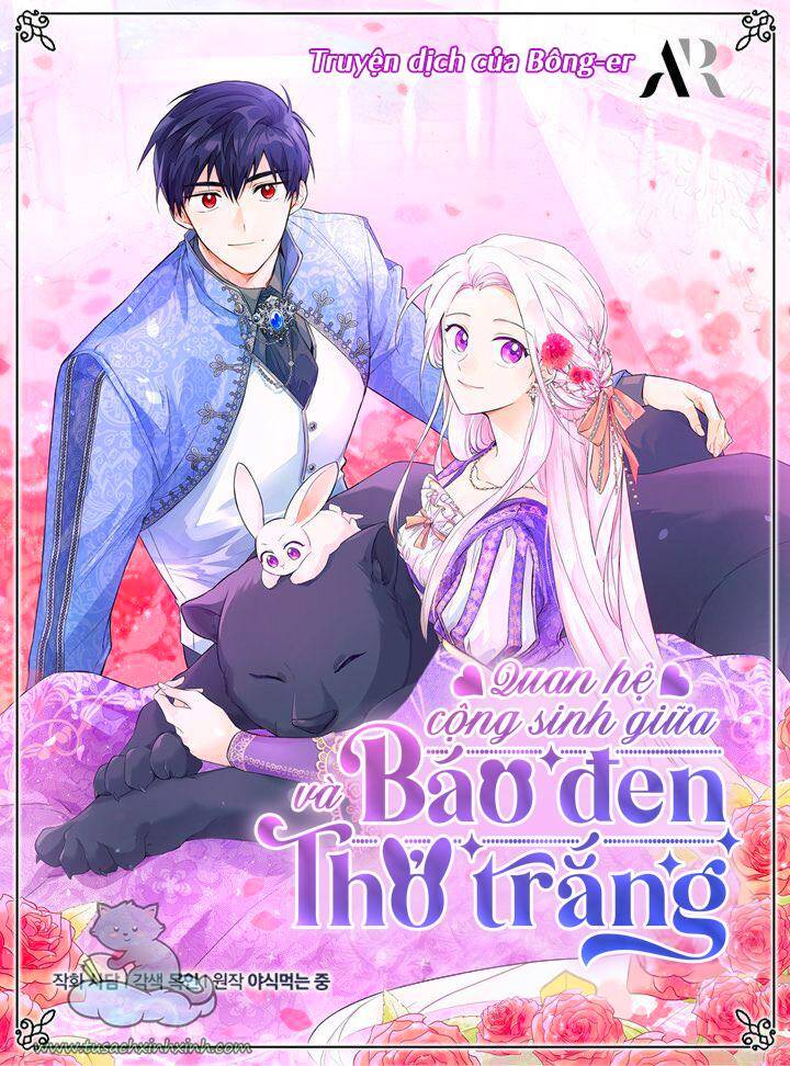 Mối Liên Kết Giữa Báo Đen Và Bé Thỏ Chap 52 - Next Chap 53