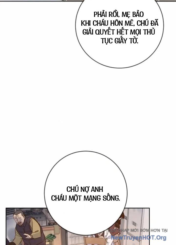 Mọi Người Đều Yêu Cô Ấy Chap 22 - Next Chap 23
