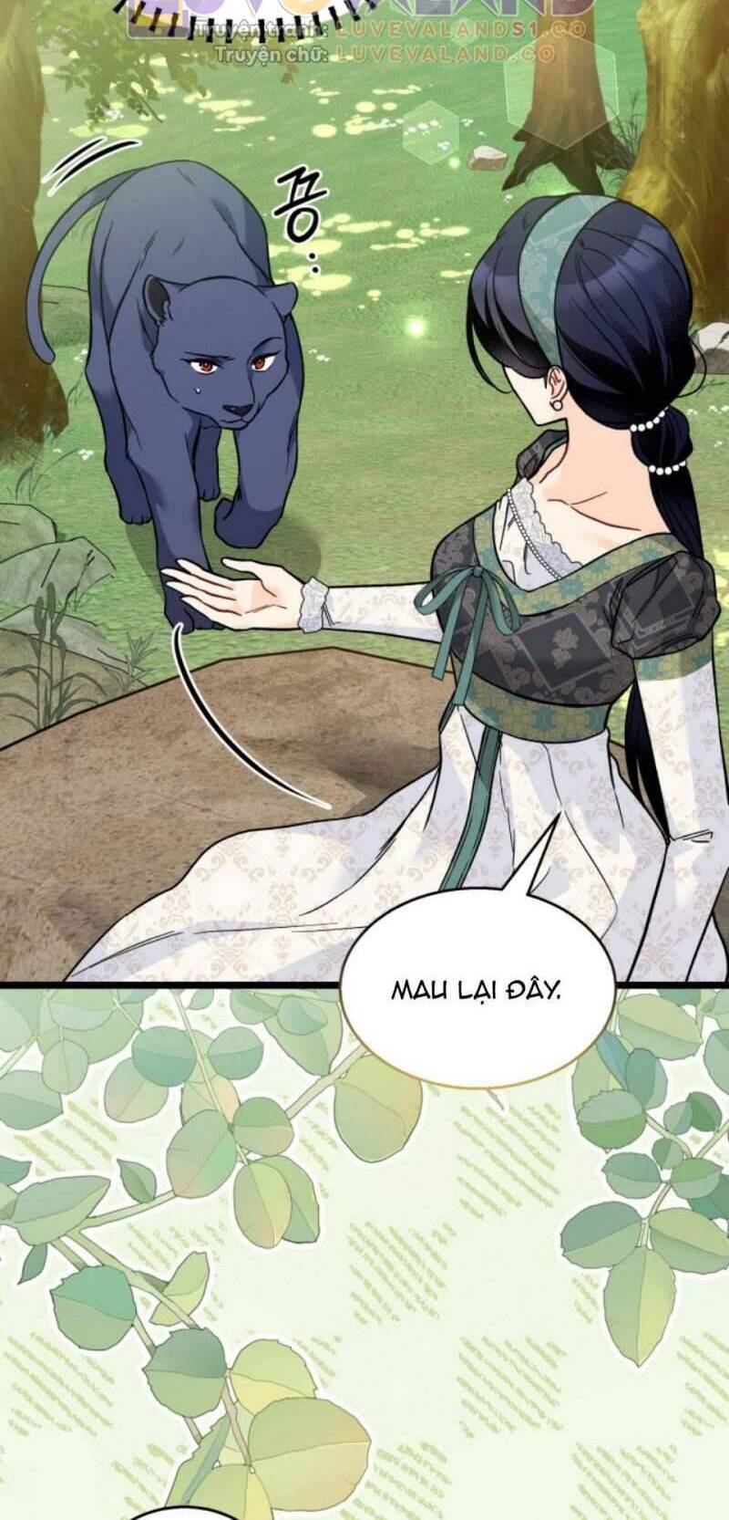 Mối Quan Hệ Cộng Sinh Giữa Báo Đen Và Thỏ Trắng Chap 153 - Next Chap 154