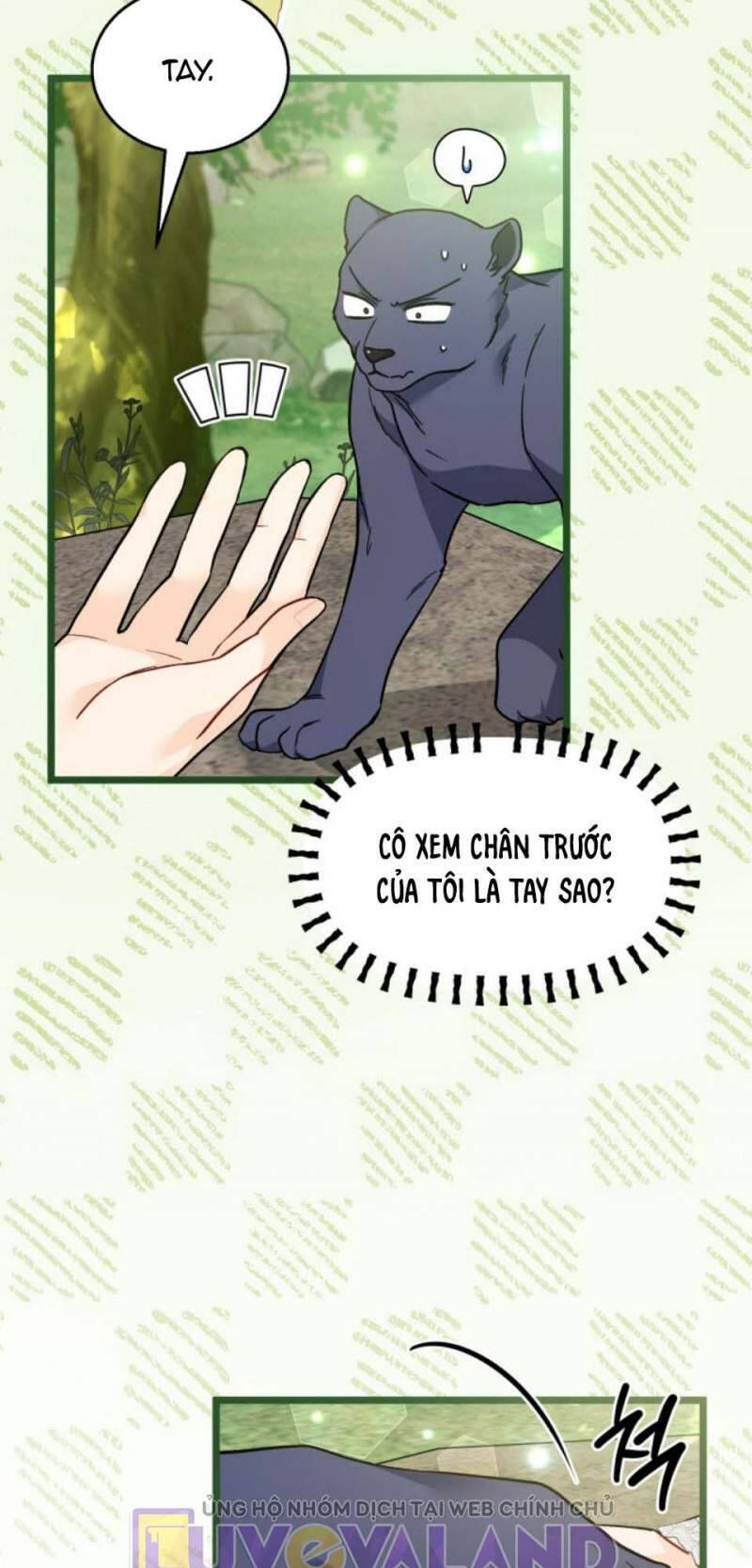 Mối Quan Hệ Cộng Sinh Giữa Báo Đen Và Thỏ Trắng Chap 153 - Next Chap 154
