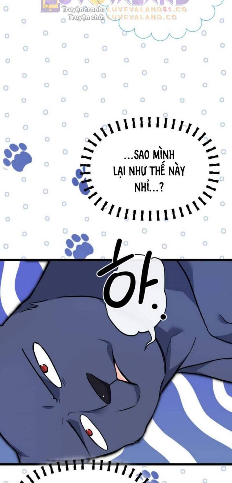 Mối Quan Hệ Cộng Sinh Giữa Báo Đen Và Thỏ Trắng Chap 153 - Next Chap 154