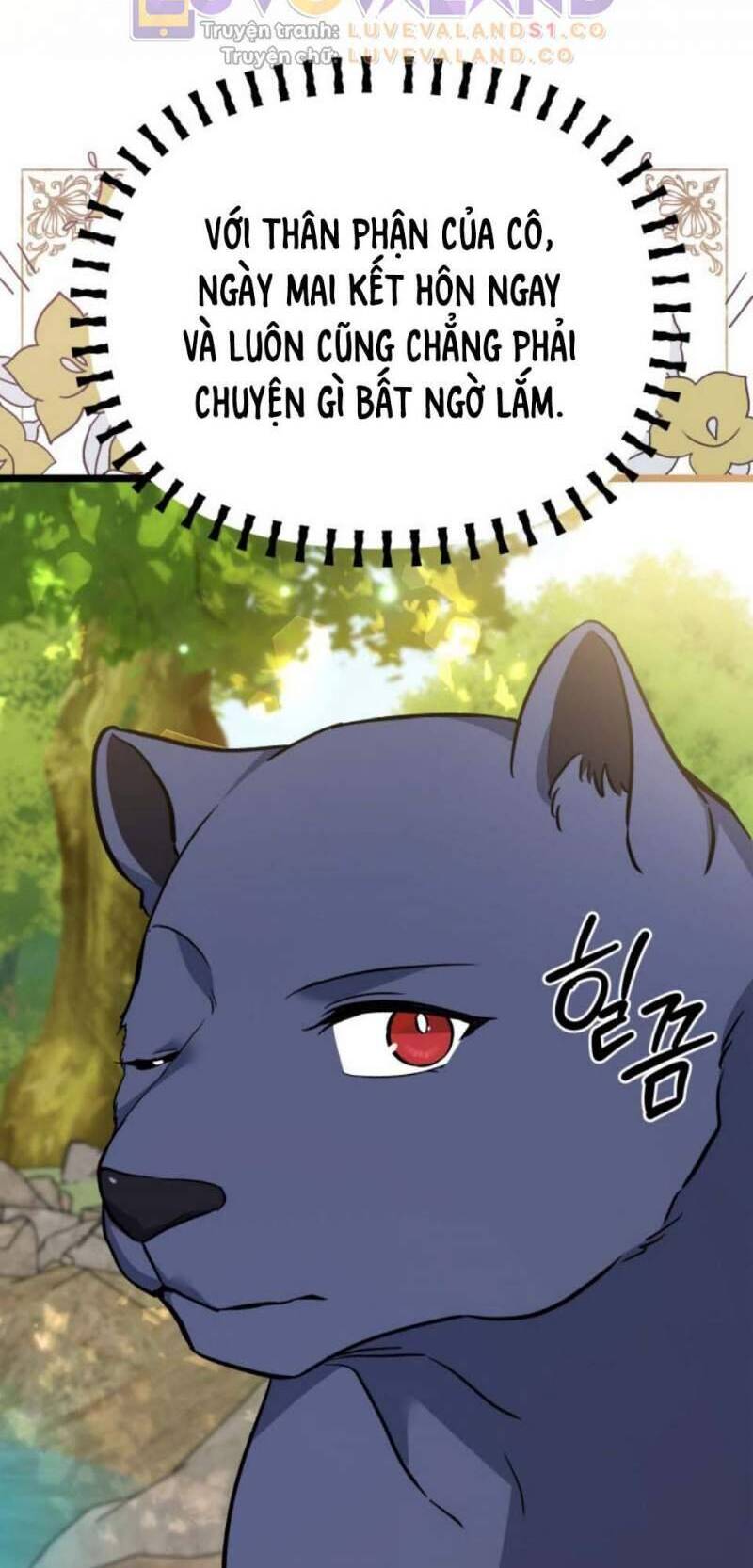 Mối Quan Hệ Cộng Sinh Giữa Báo Đen Và Thỏ Trắng Chap 153 - Next Chap 154