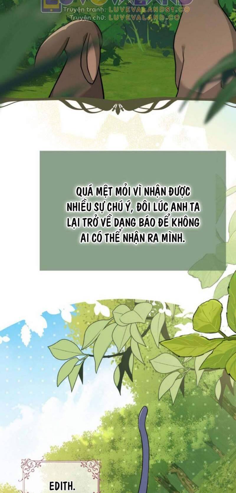 Mối Quan Hệ Cộng Sinh Giữa Báo Đen Và Thỏ Trắng Chap 153 - Next Chap 154