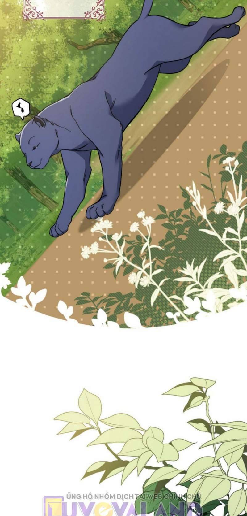 Mối Quan Hệ Cộng Sinh Giữa Báo Đen Và Thỏ Trắng Chap 153 - Next Chap 154