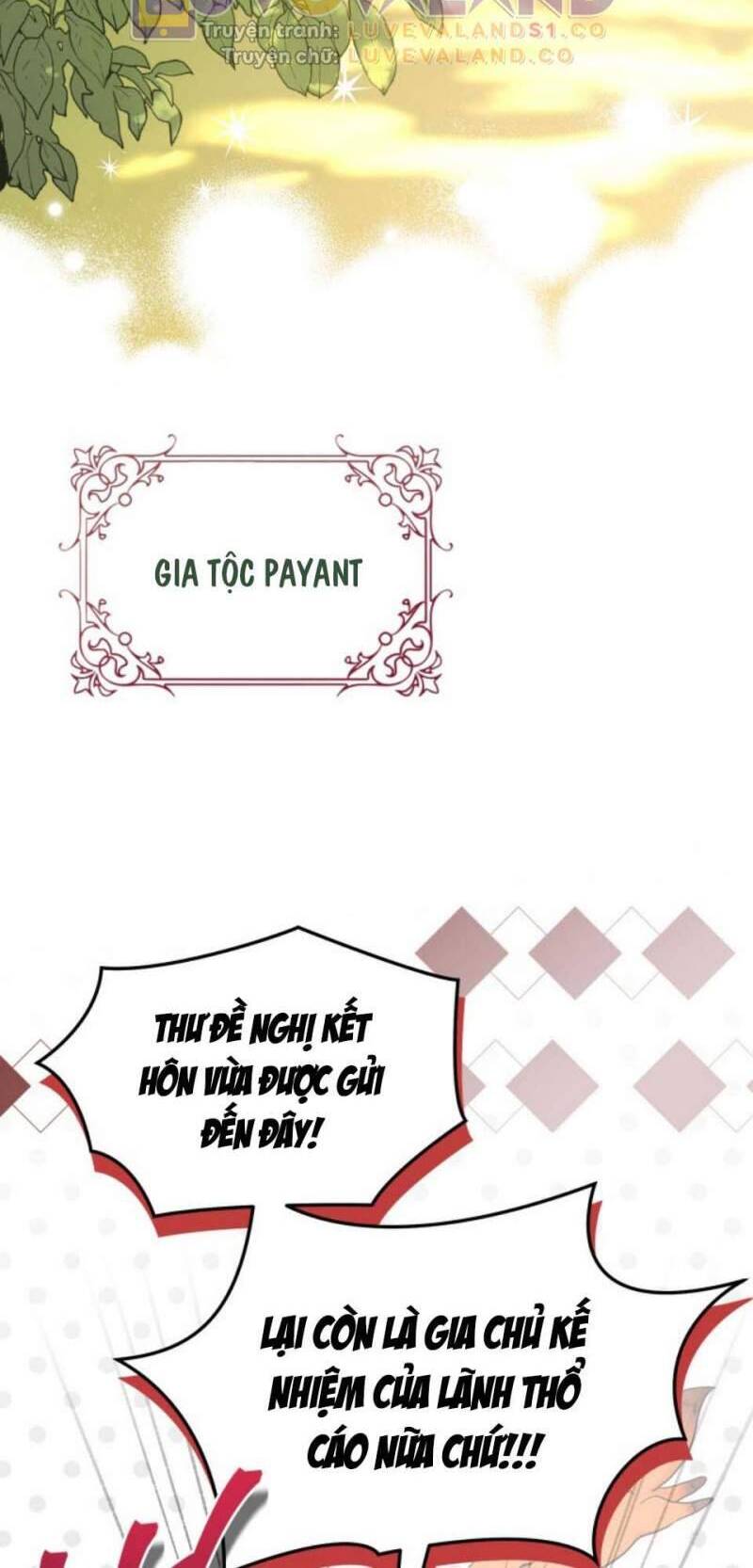 Mối Quan Hệ Cộng Sinh Giữa Báo Đen Và Thỏ Trắng Chap 153 - Next Chap 154