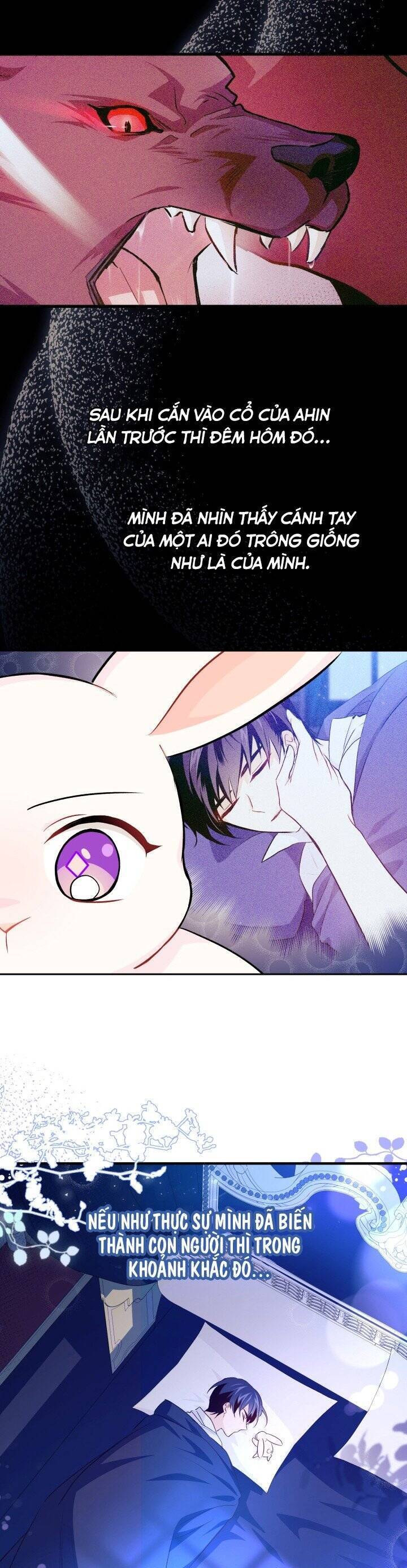Mối Quan Hệ Cộng Sinh Giữa Báo Đen Và Thỏ Trắng Chap 16 - Next Chap 17