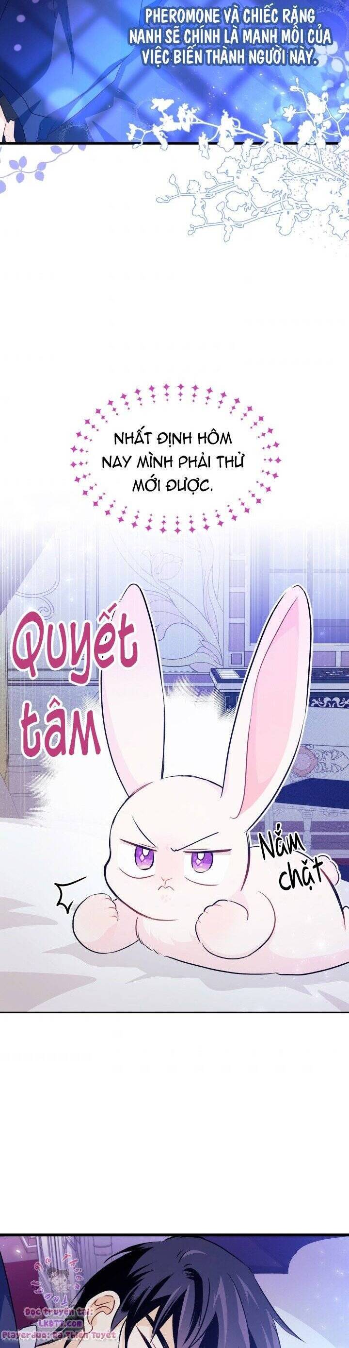 Mối Quan Hệ Cộng Sinh Giữa Báo Đen Và Thỏ Trắng Chap 16 - Next Chap 17
