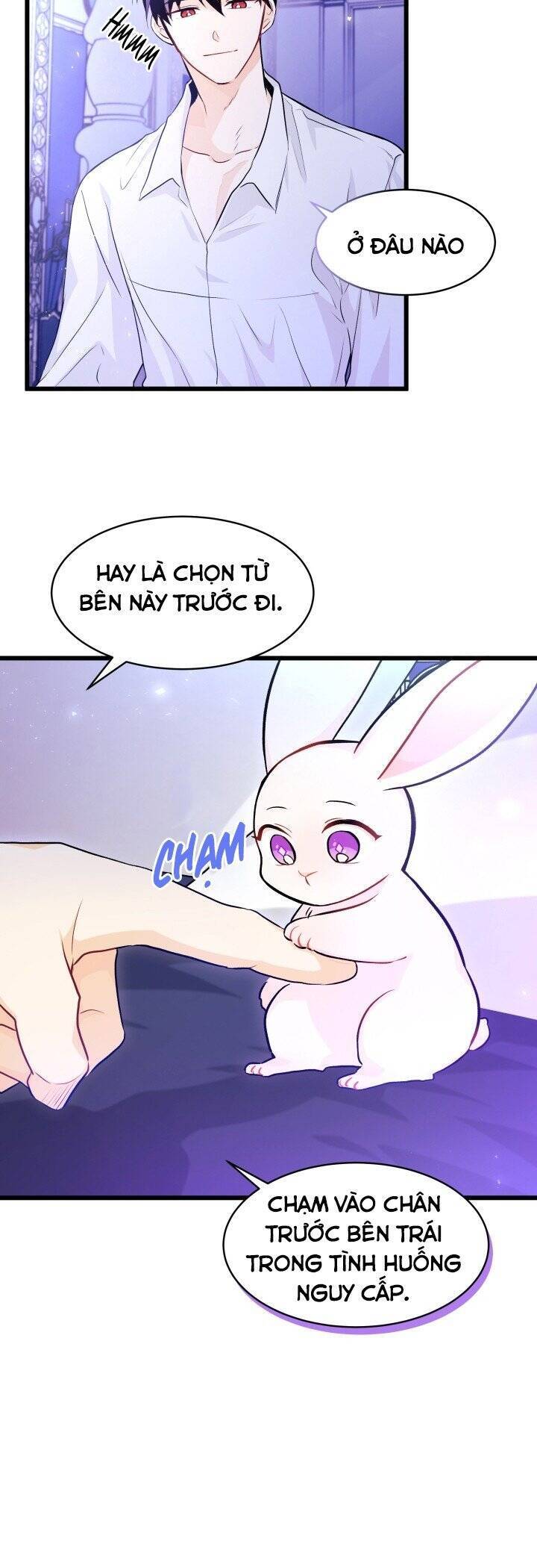 Mối Quan Hệ Cộng Sinh Giữa Báo Đen Và Thỏ Trắng Chap 16 - Next Chap 17